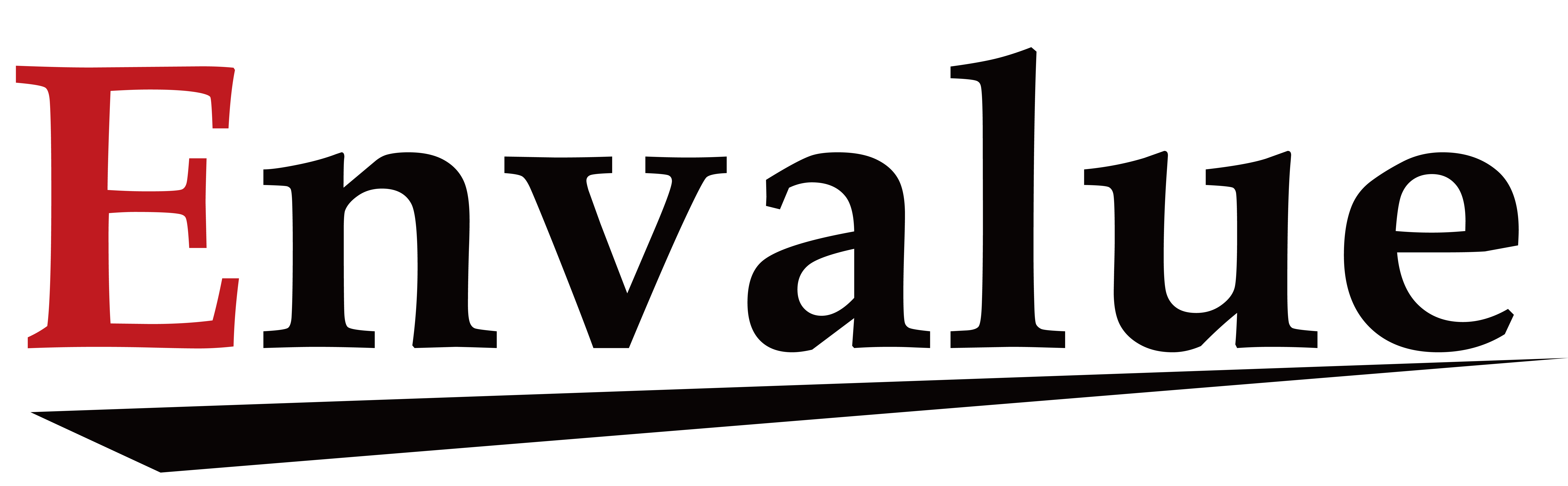 株式会社Envalue