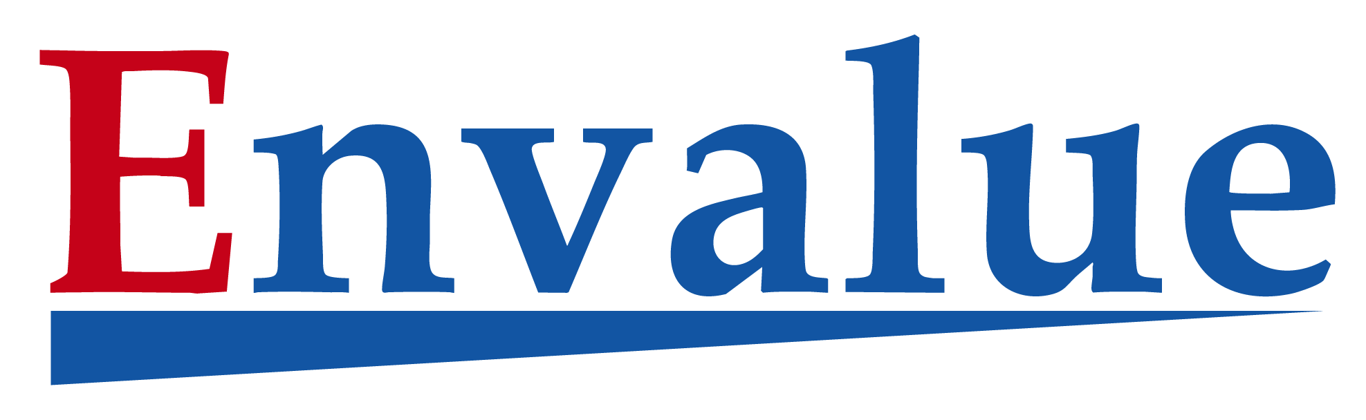 株式会社Envalue